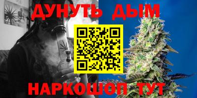 сатива Краснодар