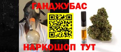 сатива Краснодар
