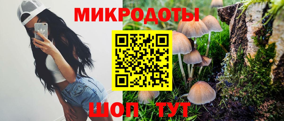 Энгельс  Галлюциногенные грибы мухоморы  Вход с VPN 